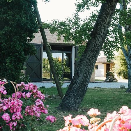 Agriturismo Palazzo Baldini Villa Bagnacavallo Kültér fotó